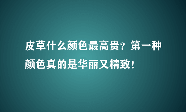 皮草什么颜色最高贵？第一种颜色真的是华丽又精致！