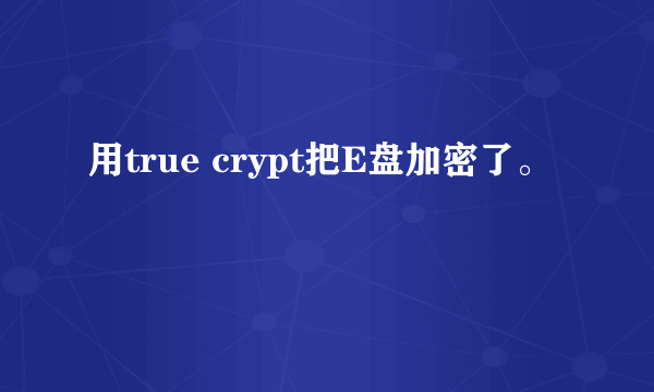 用true crypt把E盘加密了。