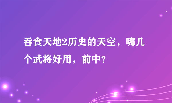 吞食天地2历史的天空，哪几个武将好用，前中？