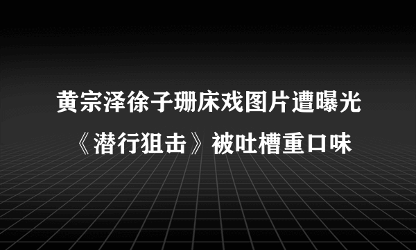 黄宗泽徐子珊床戏图片遭曝光  《潜行狙击》被吐槽重口味