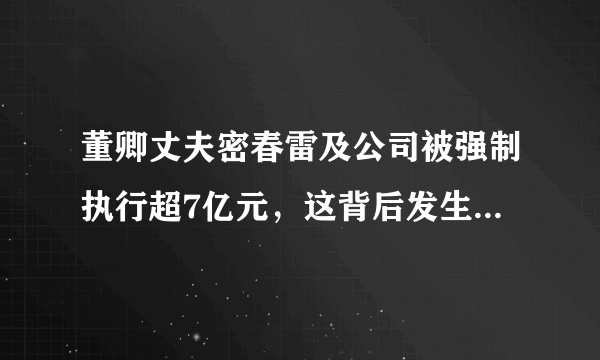 董卿丈夫密春雷及公司被强制执行超7亿元，这背后发生了什么？