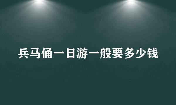 兵马俑一日游一般要多少钱