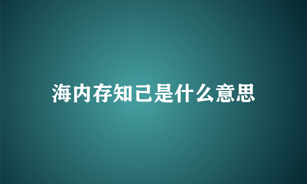 海内存知己是什么意思