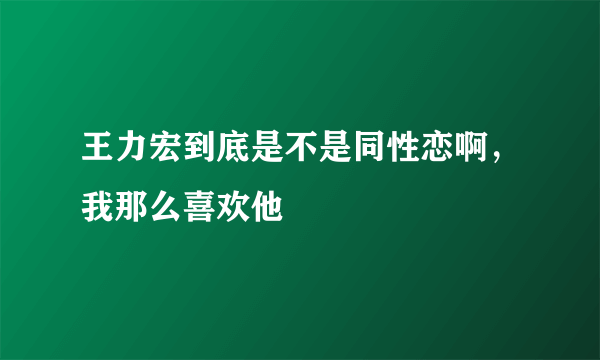 王力宏到底是不是同性恋啊，我那么喜欢他