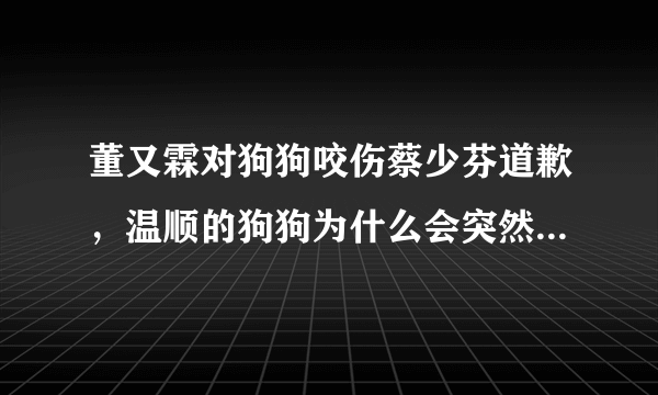 董又霖对狗狗咬伤蔡少芬道歉，温顺的狗狗为什么会突然咬人，发生了什么？