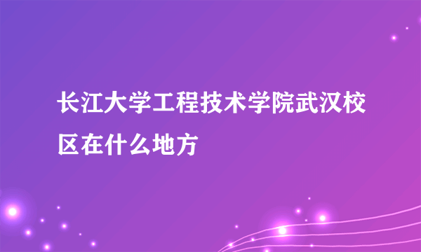 长江大学工程技术学院武汉校区在什么地方