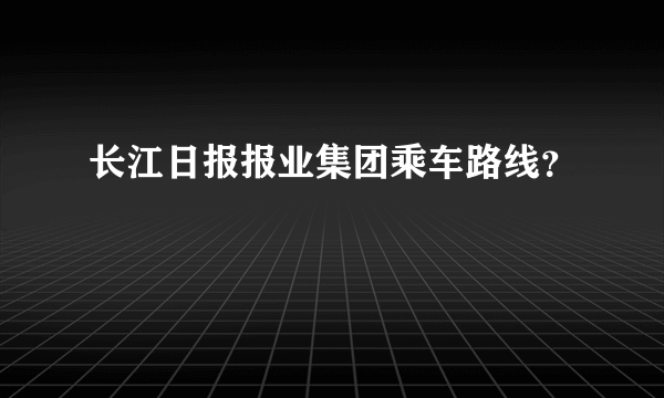 长江日报报业集团乘车路线？