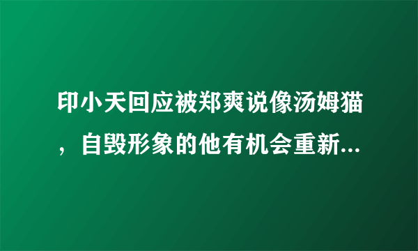 印小天回应被郑爽说像汤姆猫，自毁形象的他有机会重新翻红吗？