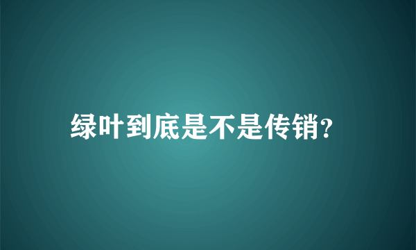 绿叶到底是不是传销？