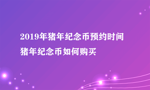 2019年猪年纪念币预约时间 猪年纪念币如何购买