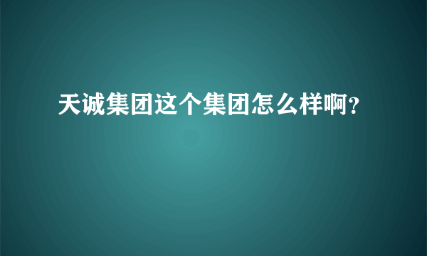 天诚集团这个集团怎么样啊？