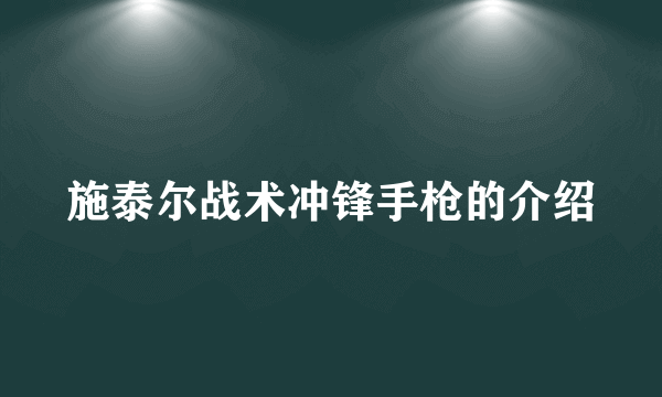 施泰尔战术冲锋手枪的介绍