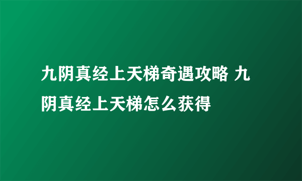 九阴真经上天梯奇遇攻略 九阴真经上天梯怎么获得