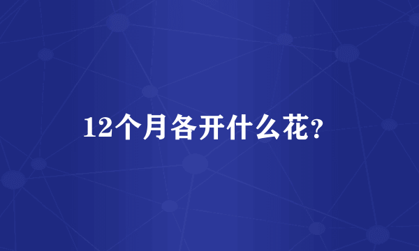 12个月各开什么花？