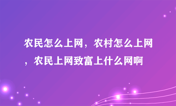 农民怎么上网，农村怎么上网，农民上网致富上什么网啊