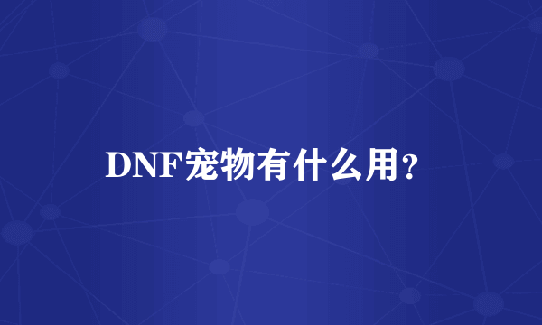 DNF宠物有什么用？