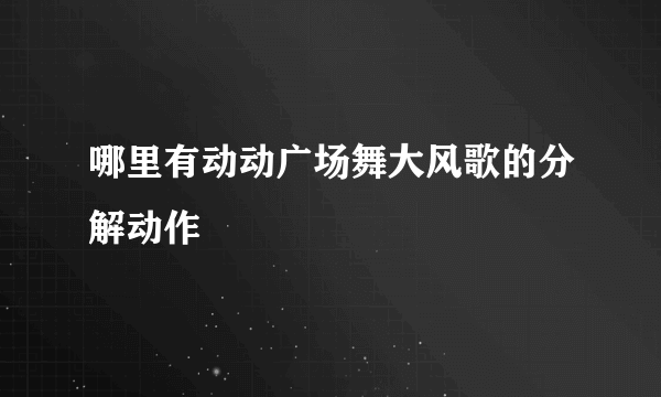 哪里有动动广场舞大风歌的分解动作