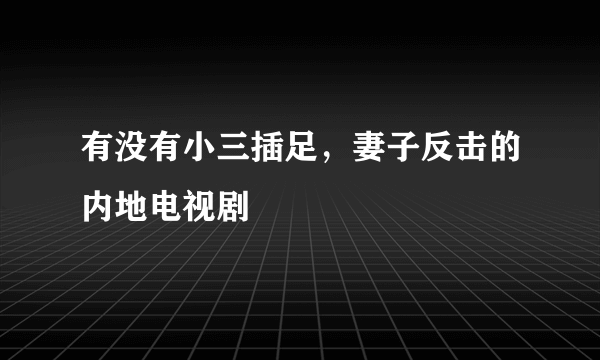 有没有小三插足，妻子反击的内地电视剧