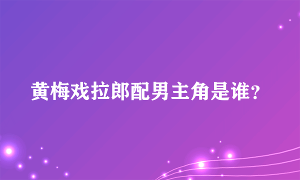 黄梅戏拉郎配男主角是谁？