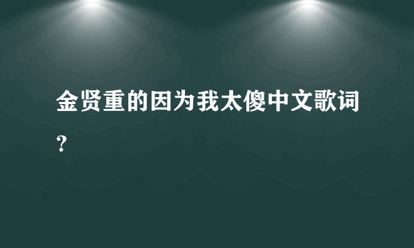 金贤重的因为我太傻中文歌词？