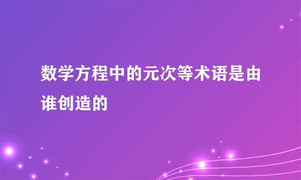 数学方程中的元次等术语是由谁创造的