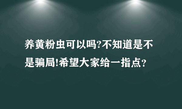 养黄粉虫可以吗?不知道是不是骗局!希望大家给一指点？