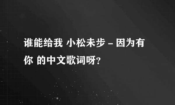 谁能给我 小松未步－因为有你 的中文歌词呀？