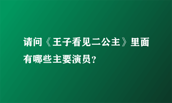 请问《王子看见二公主》里面有哪些主要演员？