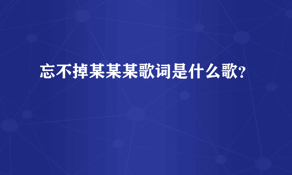 忘不掉某某某歌词是什么歌？