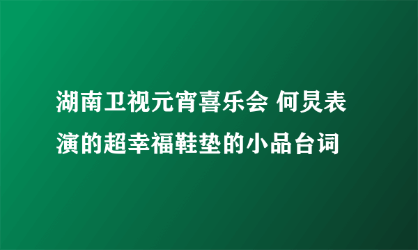 湖南卫视元宵喜乐会 何炅表演的超幸福鞋垫的小品台词