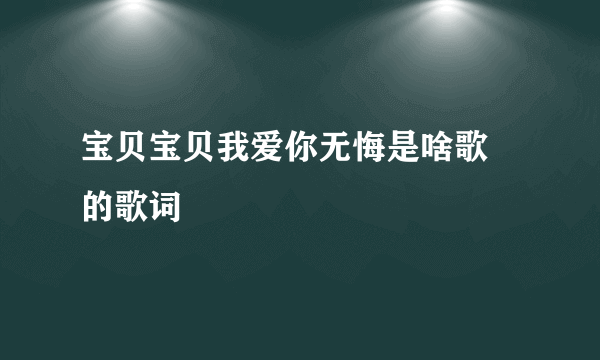 宝贝宝贝我爱你无悔是啥歌 的歌词