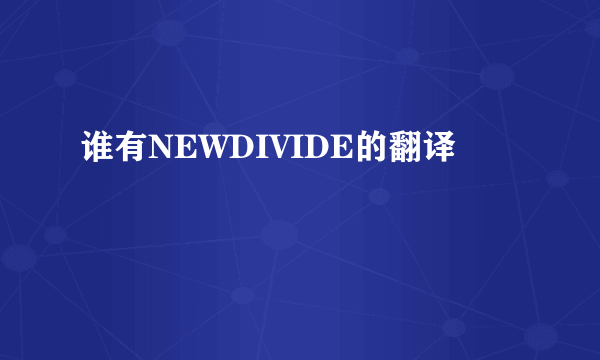 谁有NEWDIVIDE的翻译