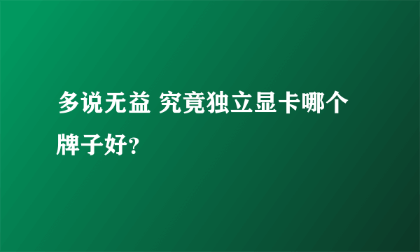 多说无益 究竟独立显卡哪个牌子好？