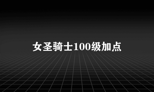 女圣骑士100级加点