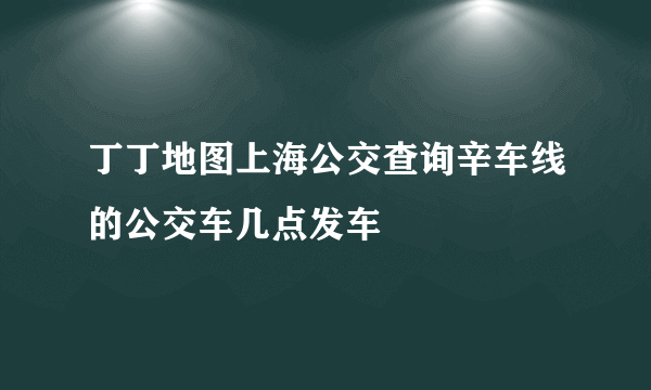 丁丁地图上海公交查询辛车线的公交车几点发车