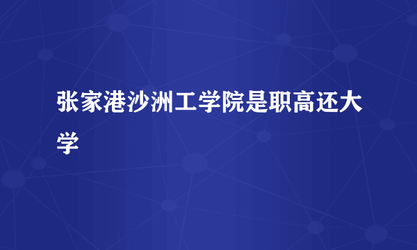 张家港沙洲工学院是职高还大学