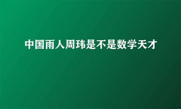 中国雨人周玮是不是数学天才