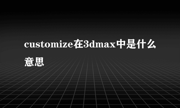 customize在3dmax中是什么意思