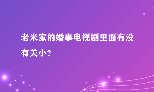 老米家的婚事电视剧里面有没有关小？