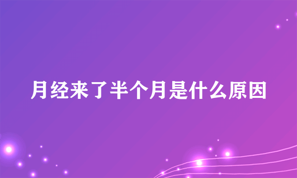 月经来了半个月是什么原因