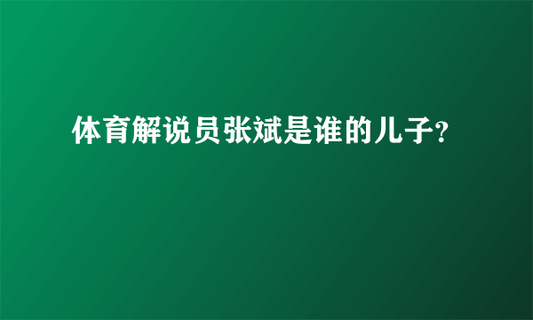 体育解说员张斌是谁的儿子？