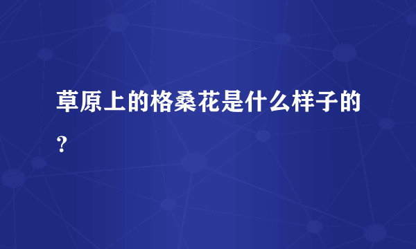 草原上的格桑花是什么样子的？