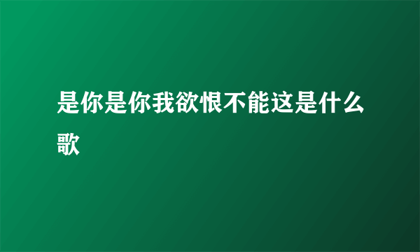 是你是你我欲恨不能这是什么歌