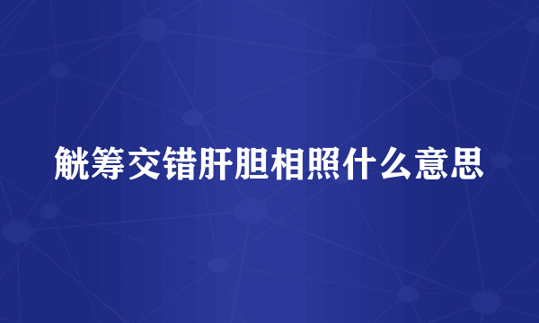 觥筹交错肝胆相照什么意思