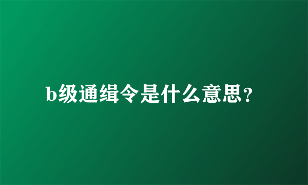 b级通缉令是什么意思？