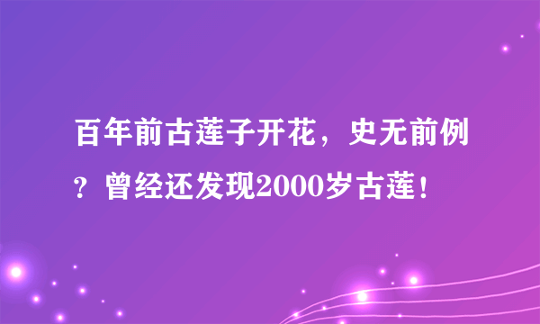 百年前古莲子开花，史无前例？曾经还发现2000岁古莲！