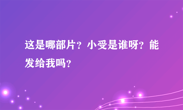 这是哪部片？小受是谁呀？能发给我吗？