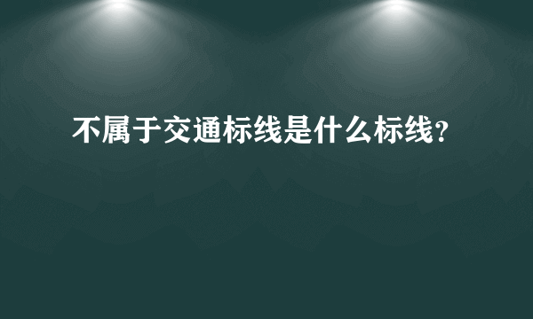 不属于交通标线是什么标线？