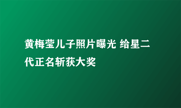 黄梅莹儿子照片曝光 给星二代正名斩获大奖