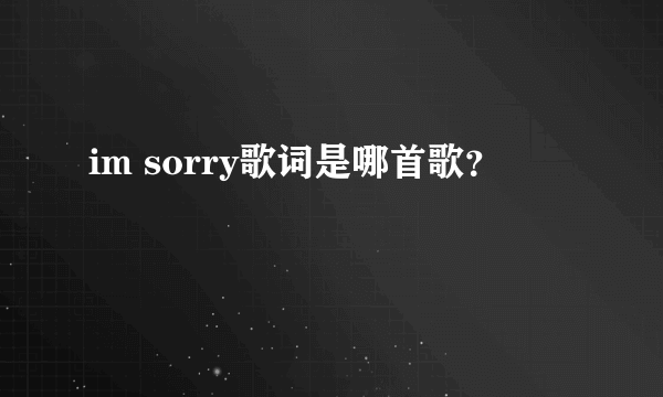 im sorry歌词是哪首歌？